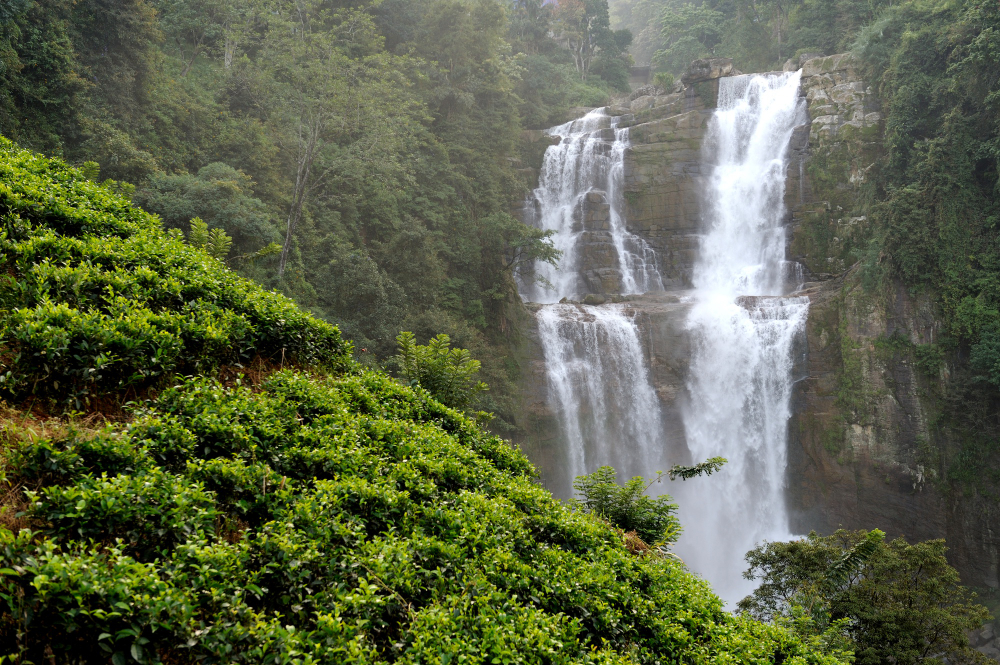 Kerala Backwaters &amp; Hills